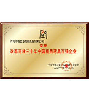 百强企业